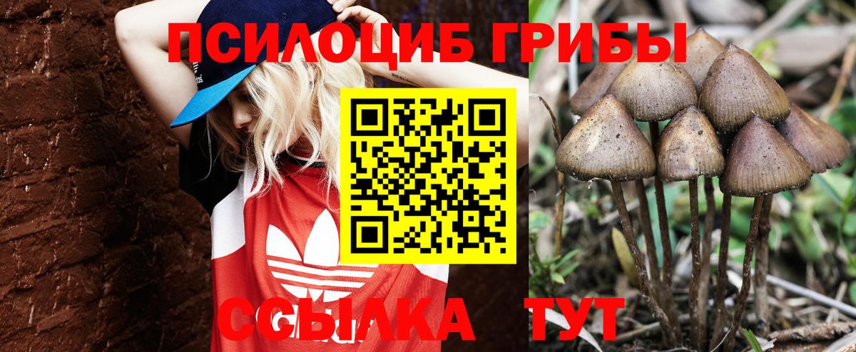 Псилоцибиновые грибы прущие грибы Стрежевой