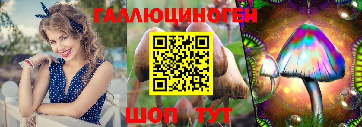 купить  цена  Галлюциногенные грибы GOLDEN TEACHER  Стрежевой  Вход с VPN  Псилоцибиновые грибы Psilocybine cubensis 