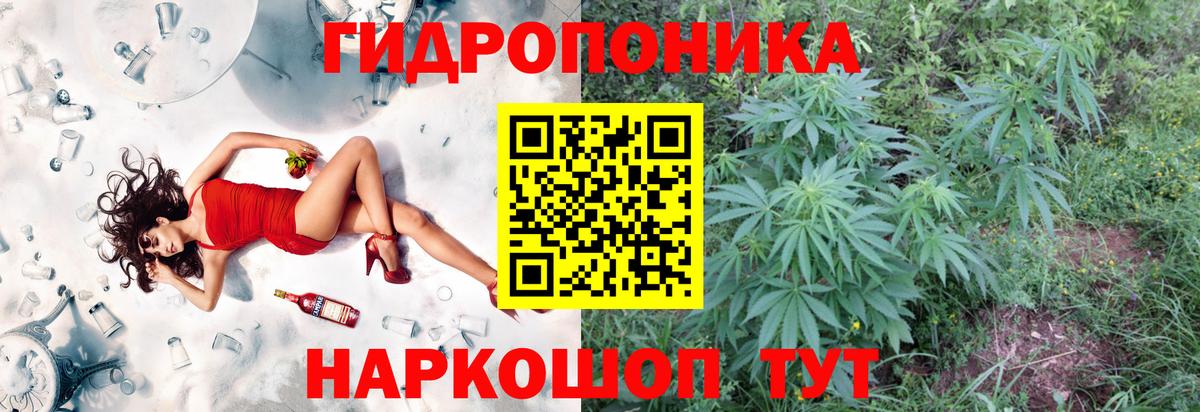Марихуана White Widow  Вход с VPN  Бошки марихуана марихуана  Марихуана тримм  Стрежевой 